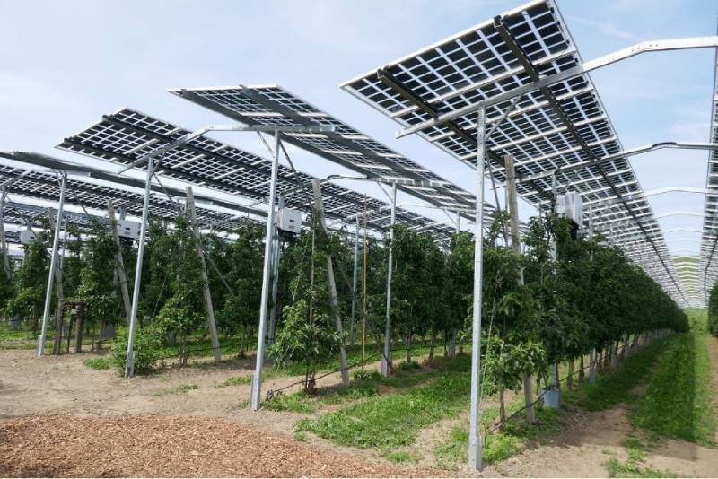 transparent solar panels agro transparent solar panels agro