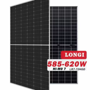 longi 595