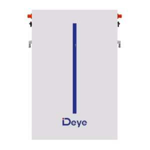 Deye RW-M6.1